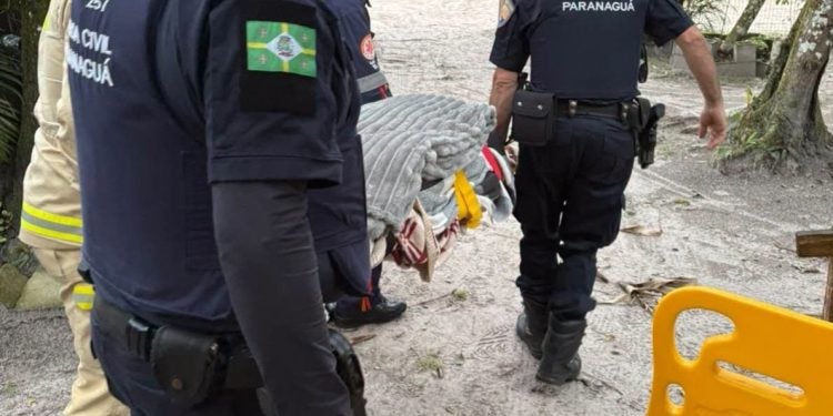 Vítima de queda na Ilha do Mel é resgatada em ação conjunta; idosa sofreu ferimentos na cabeça e perna direita