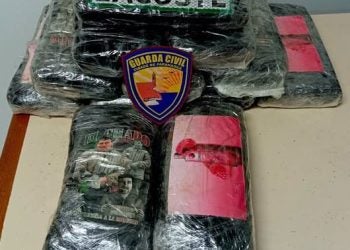 Guarda Municipal apreende quase 13 quilos de cocaína em Paranaguá; tabletes estavam em um saco de ração 