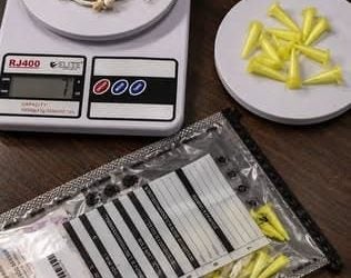 Adolescente suspeito de envolvimento com o tráfico de drogas é apreendido pela GCM em Matinhos