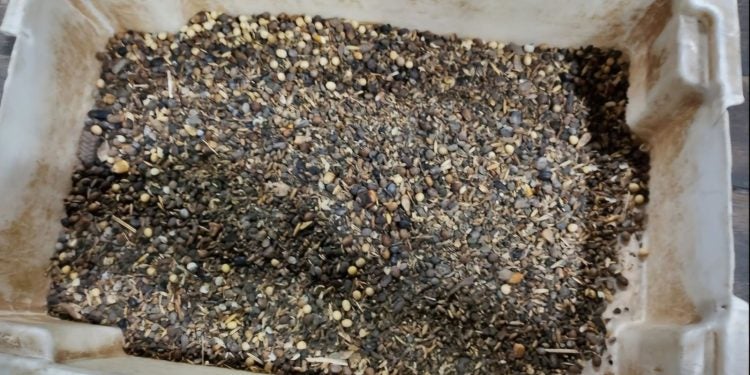 PF apreende carga de soja adulterada e prende motorista em Paranaguá 