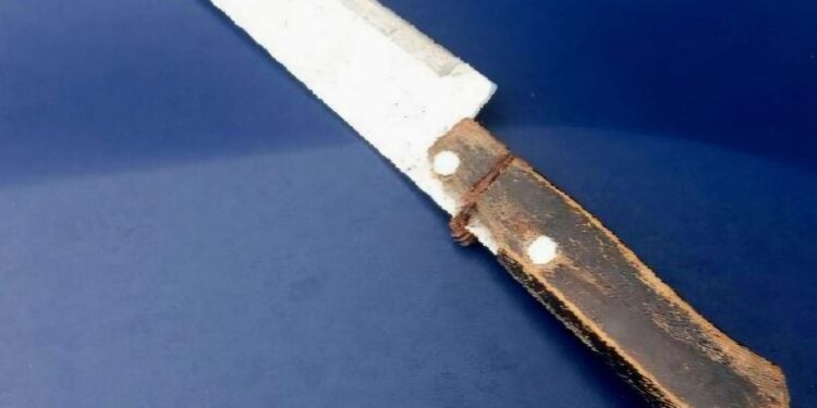 GCM prende mulher que invadiu casa e ameaçou três meninas com uma faca em Paranaguá; mãe das crianças também foi ameaçada